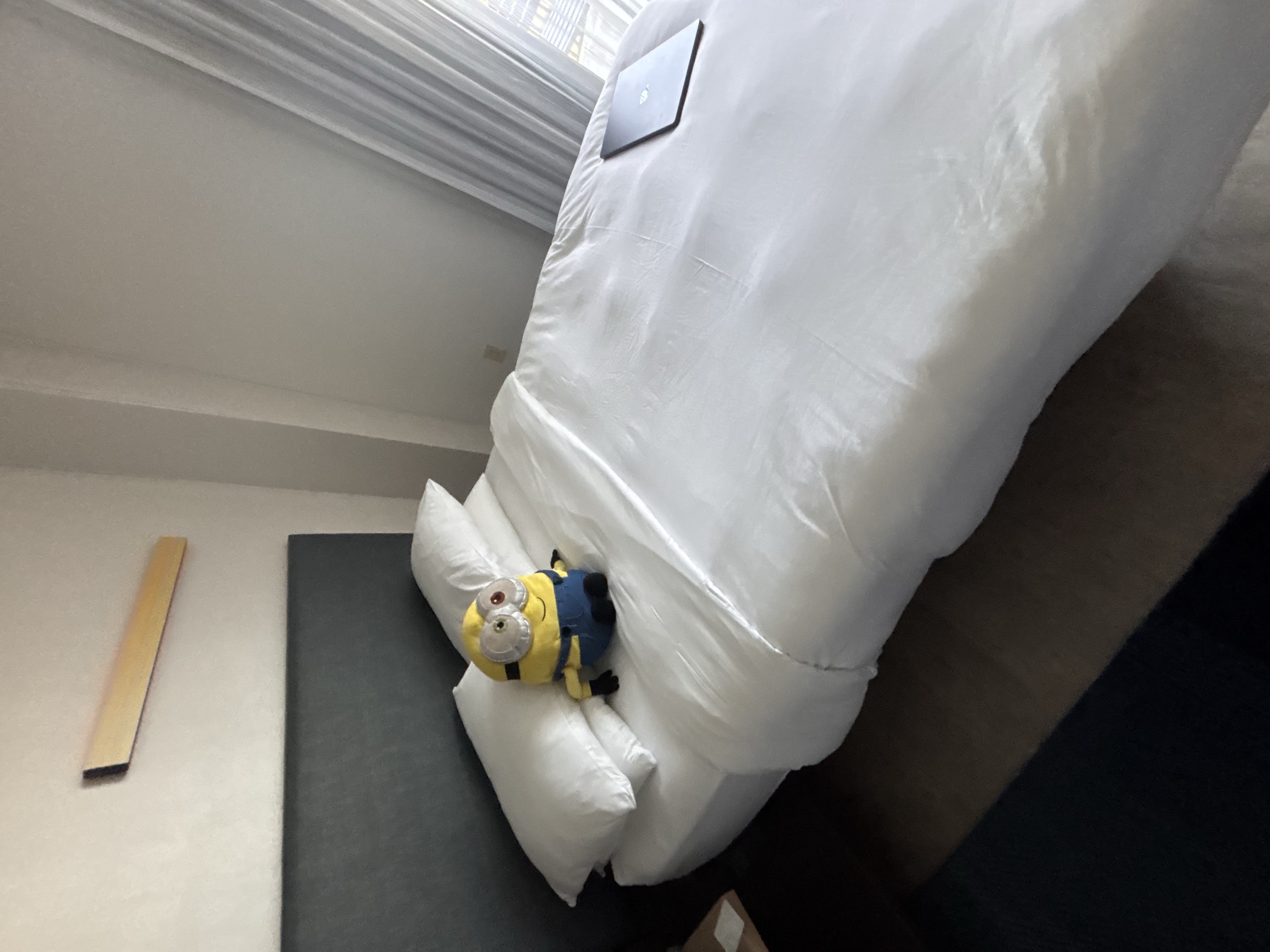 Late nights in hotel